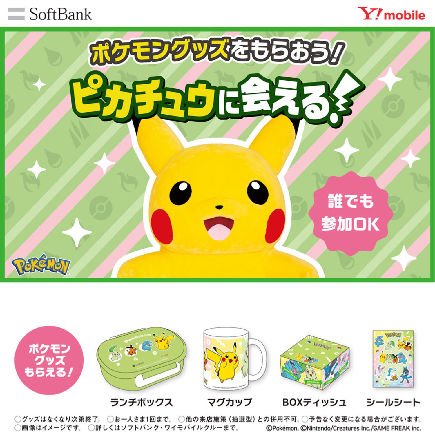ポケモン ピカチュウ】NINTENDO SWITCH ポケットモンスターピカチュウ