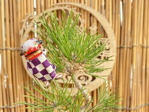 苔玉のイメージ画像