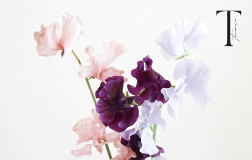 ノベルティの画像