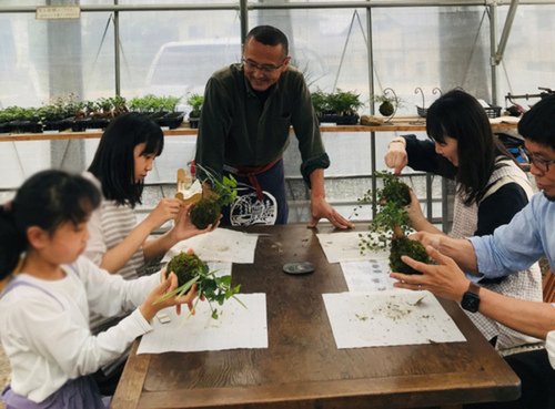 苔玉催事のイメージ画像