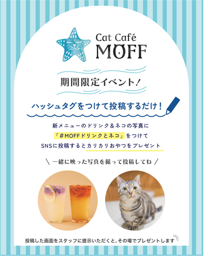 キャンペーン