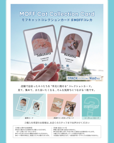 📣MOFFコレカ販売開始💕