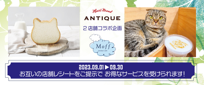 【Heart Bread ANTIQUE】×【Moff animal cafe】コラボ企画バナー
